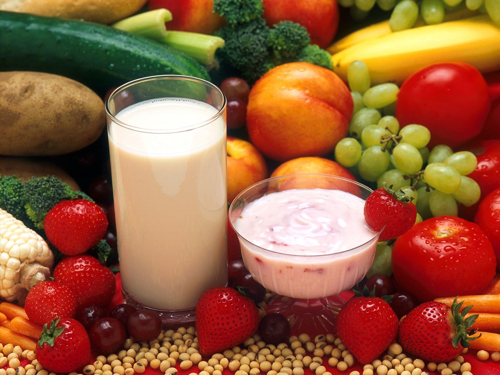 On household food consumption in the Republic of Kazakhstan in 2024