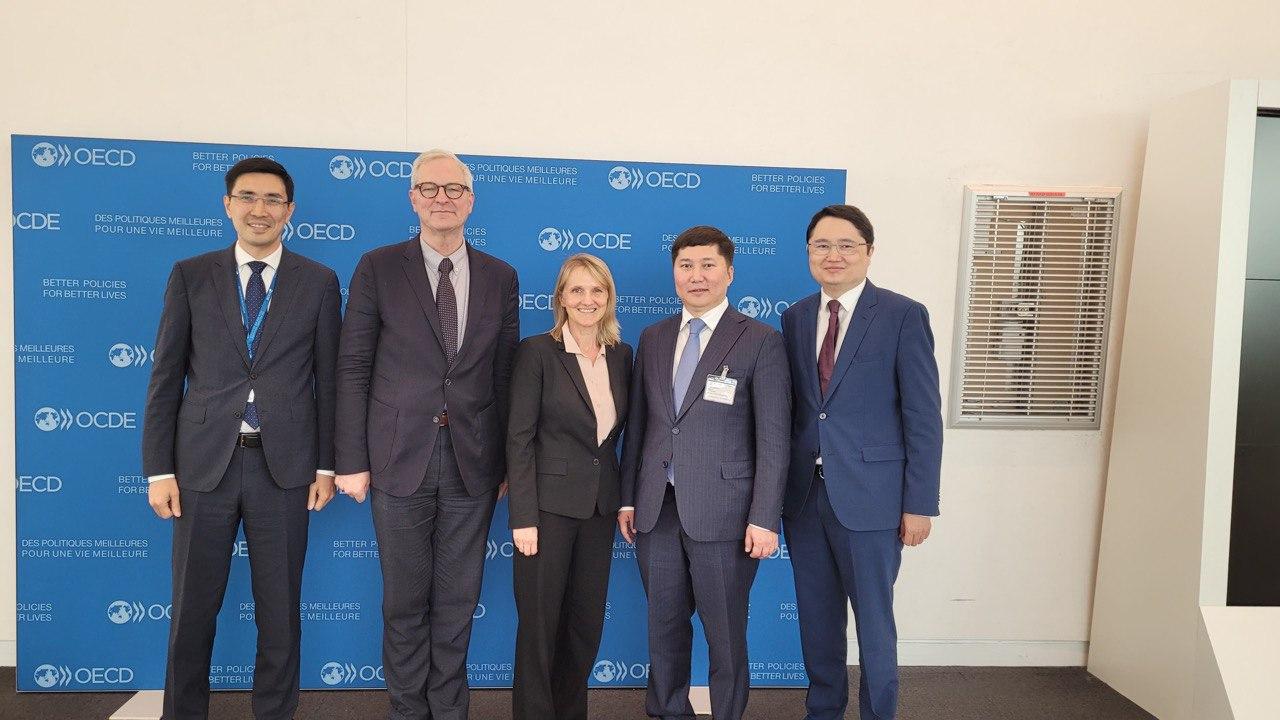 Kazakhstan takes part in the meeting of the OECD Committee on Statistics and Statistical Policy